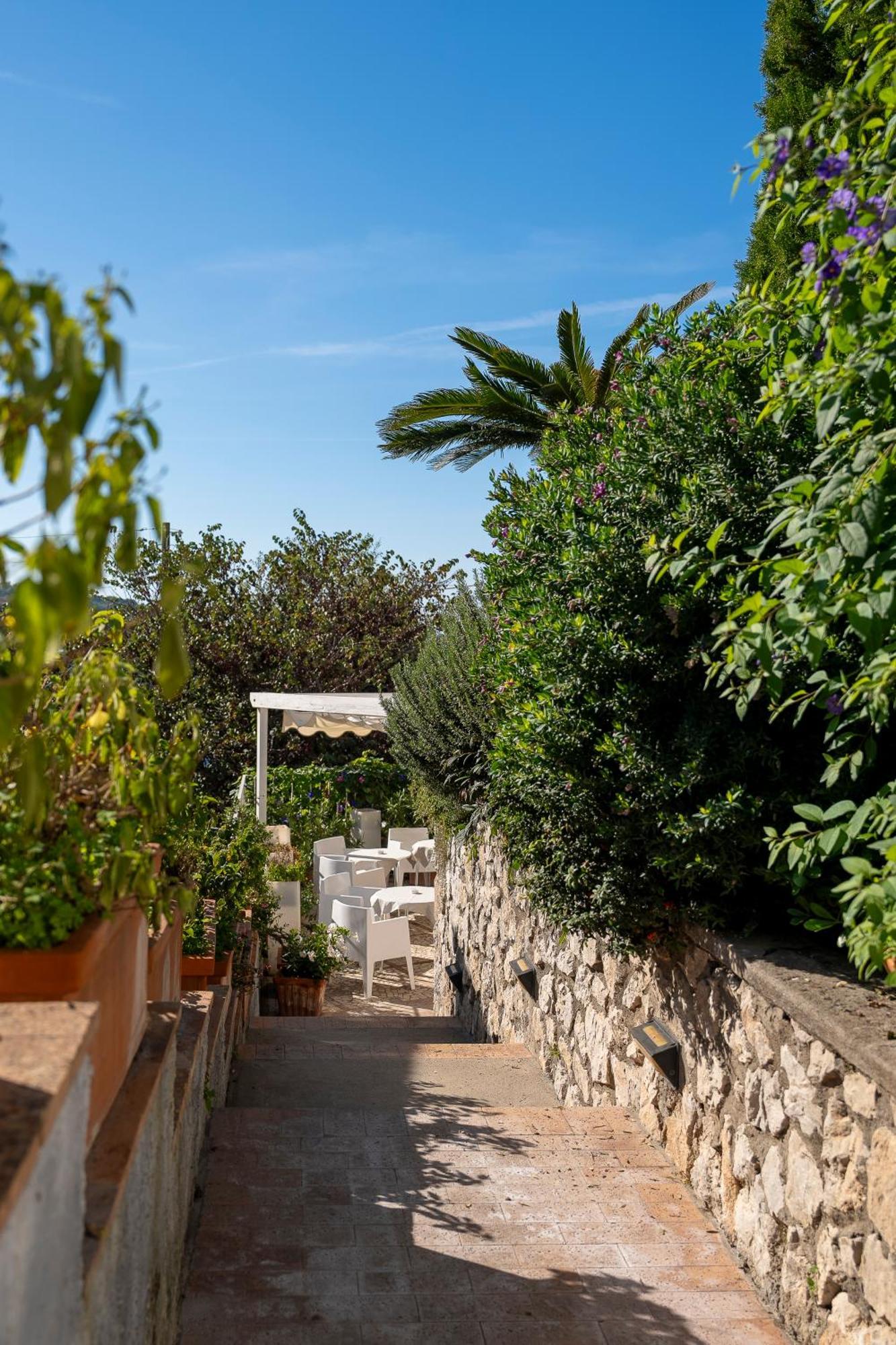 Senaria Anacapri (Isola di Capri)