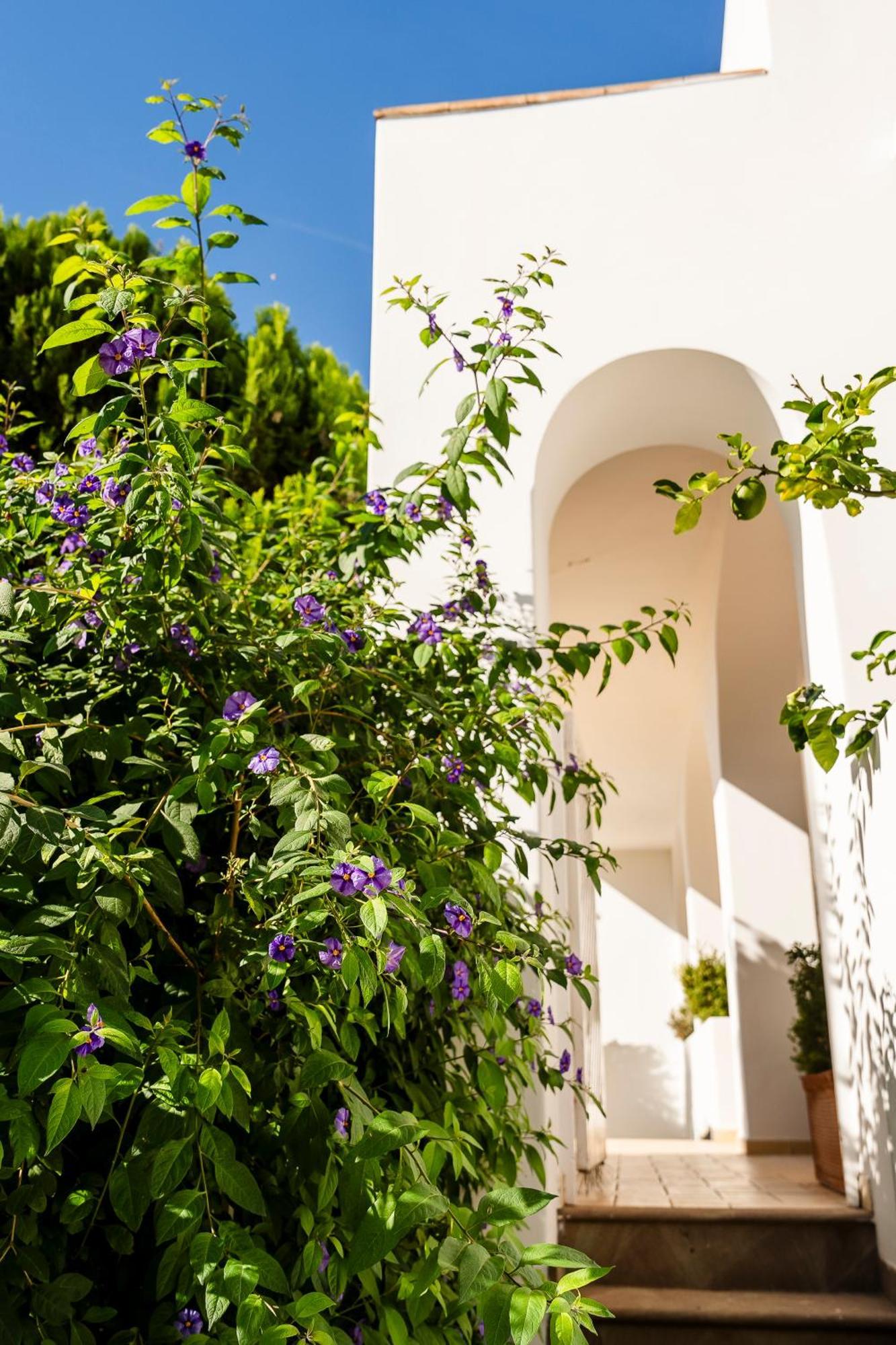 Senaria Hotel Anacapri (Isola di Capri)