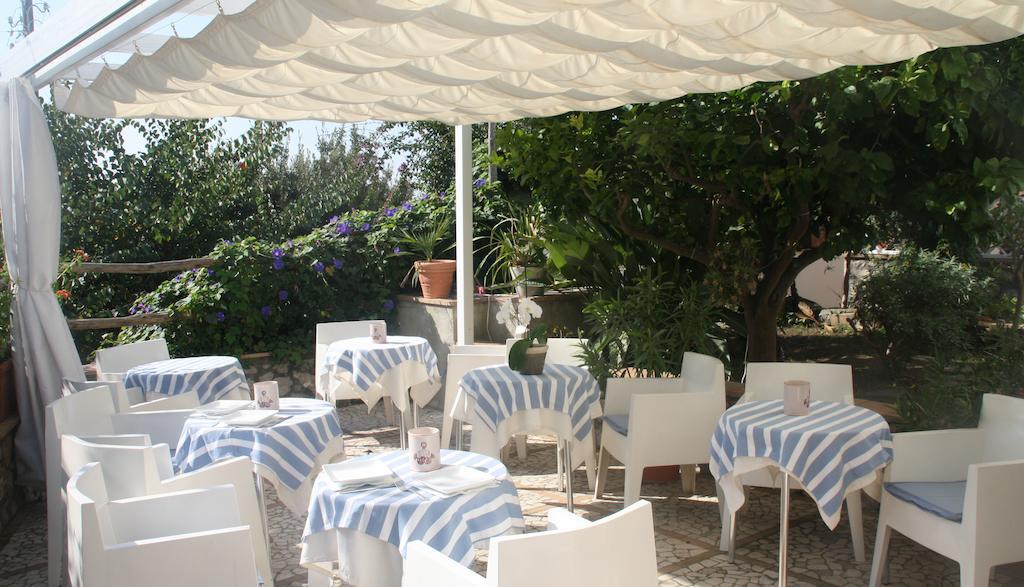 Hotel Senaria 3*